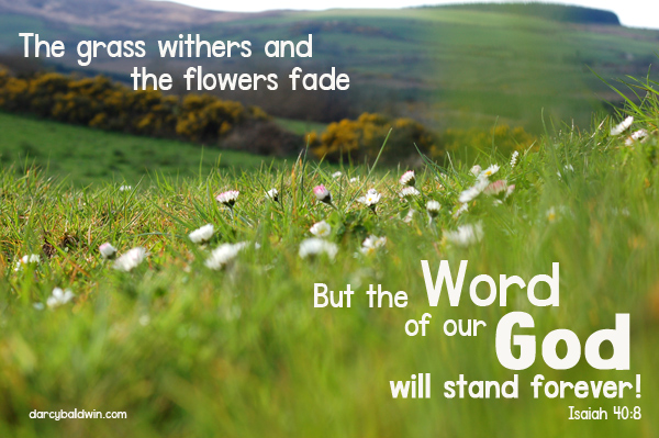 The moss withers and the flowers fade, but the Word of our God will stand forever. DJB Fonts